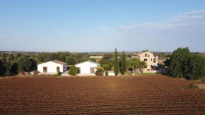 Orecchie di Lepre